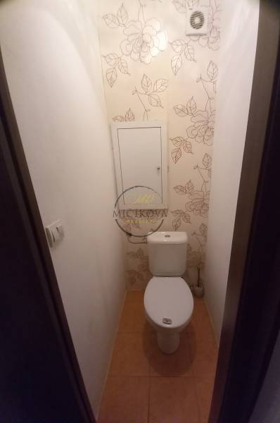 1000004707.jpg