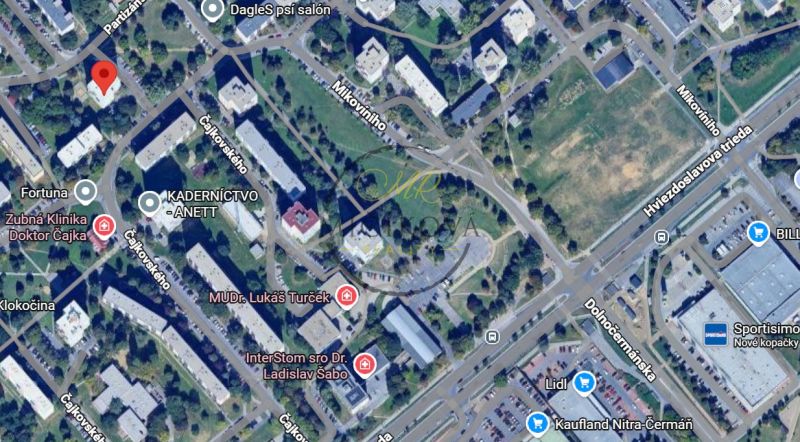 gmaps shot.jpg