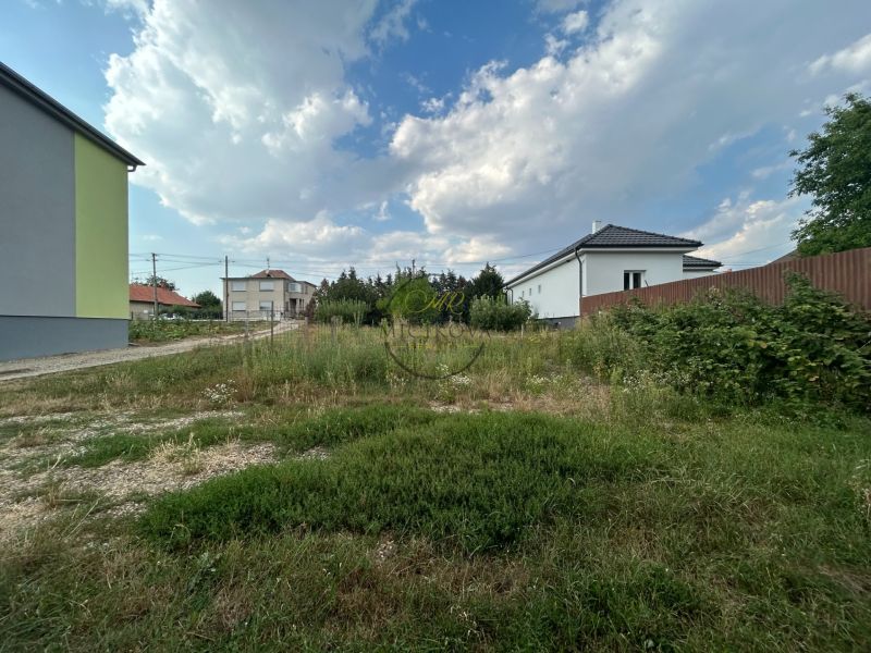 zahrada1.jpg