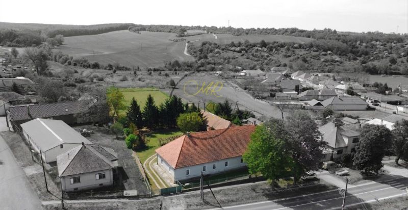 dron zpredu čb jpg.jpg